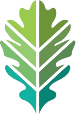 Native_Forest_favicon - Edited