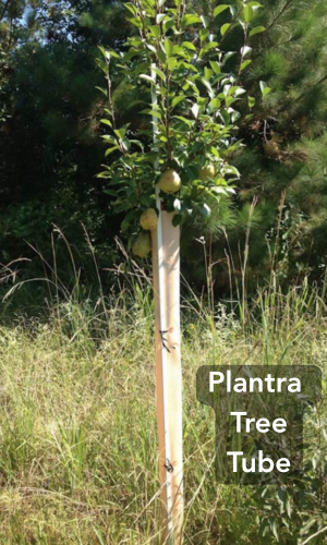 Plantra Tree Tube