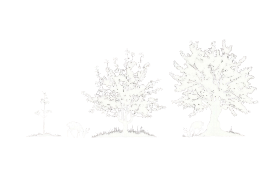 Fruit Trees For Hunters