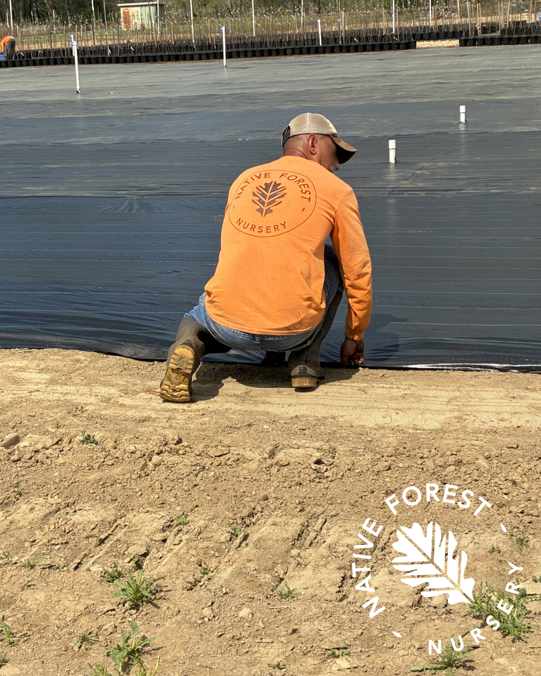 Native Forest Nursery crew member kneeling on a large growing field, pulling landscape fabric tight in preparation for a new RediRoot air-pruning container block